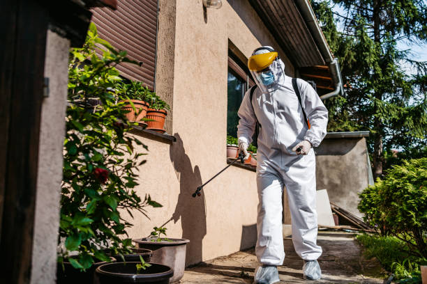 Best Affordable Pest Control Services  in Old Town, ME